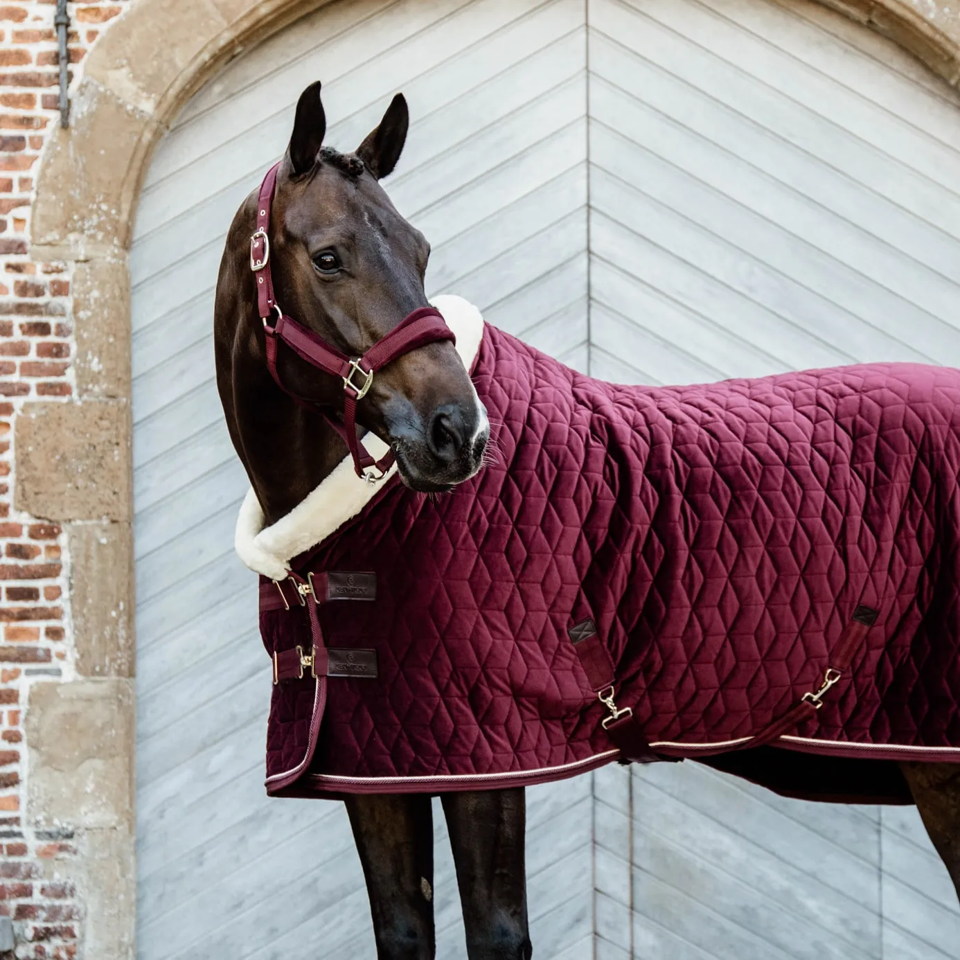 Kentucky Horsewear Velvet Show Rug - Bordeaux