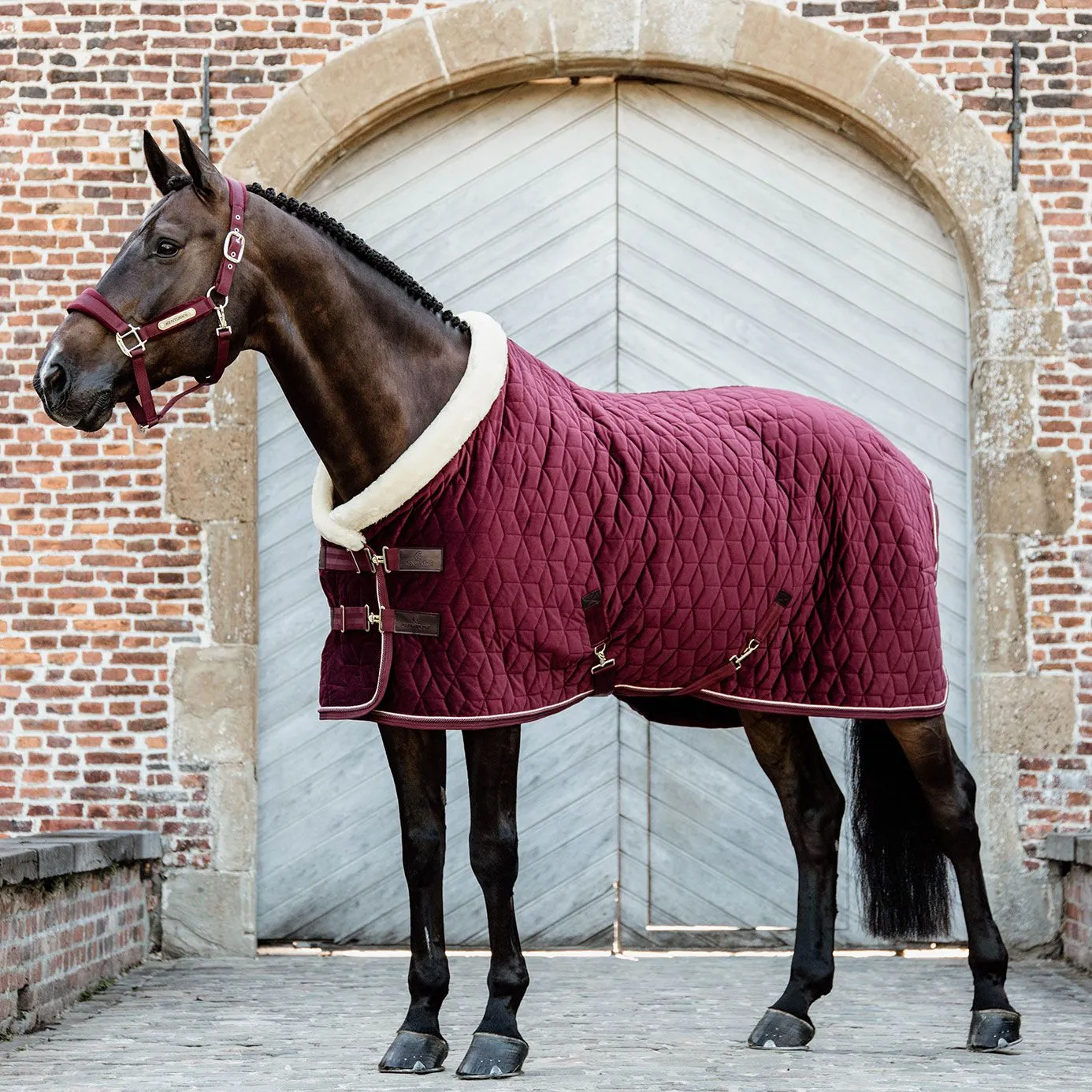 Kentucky Horsewear Velvet Show Rug - Bordeaux