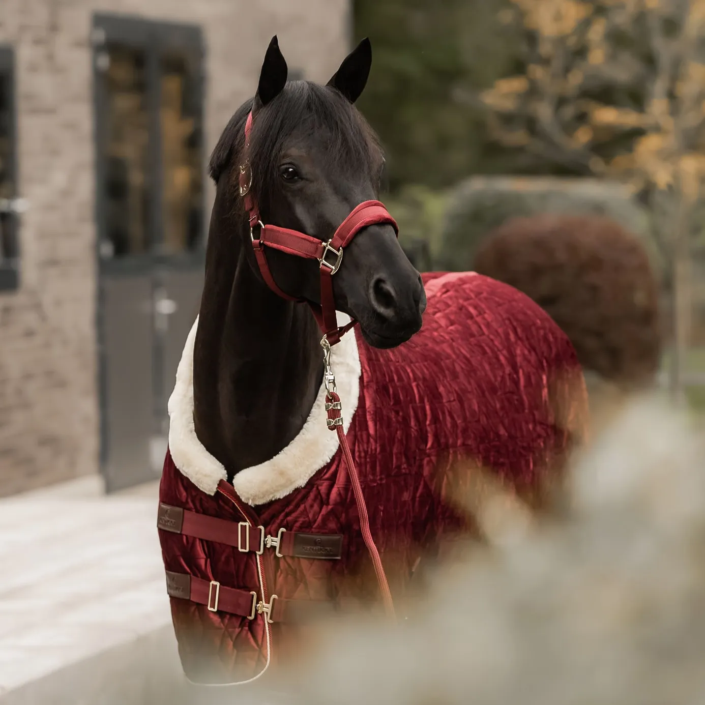 Kentucky Horsewear Velvet Show Rug - Bordeaux