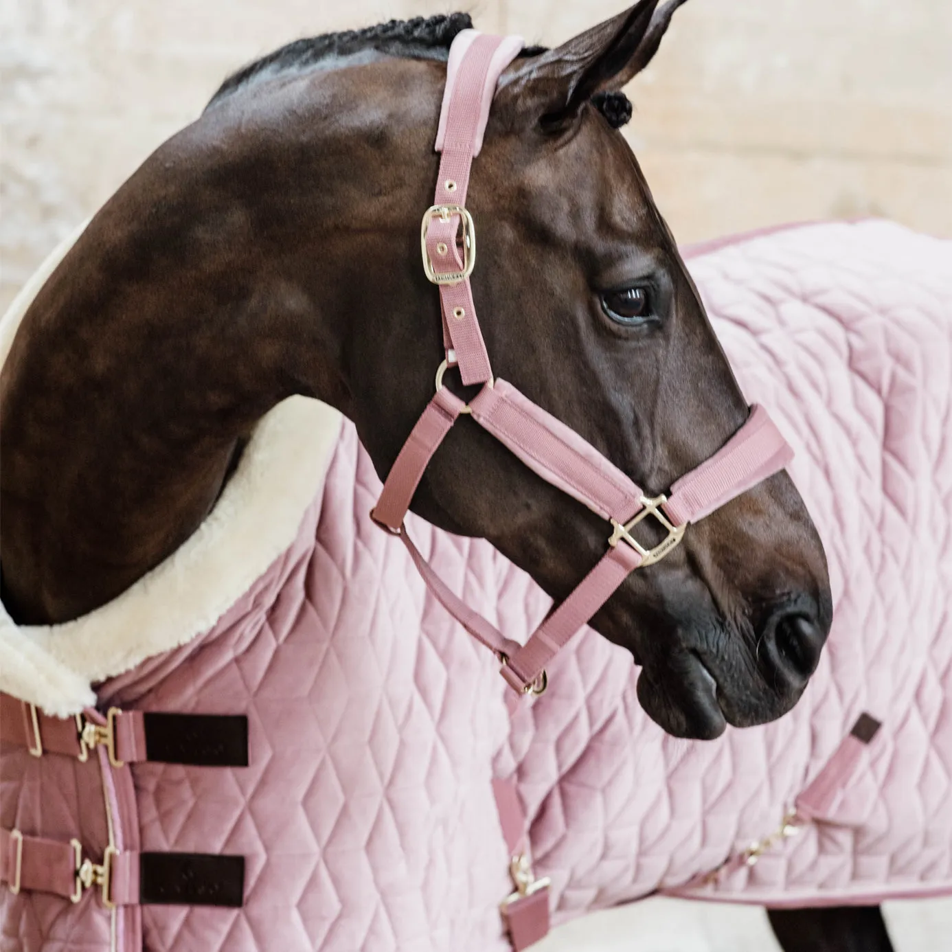 Kentucky Horsewear Velvet Show Rug - Old Rose