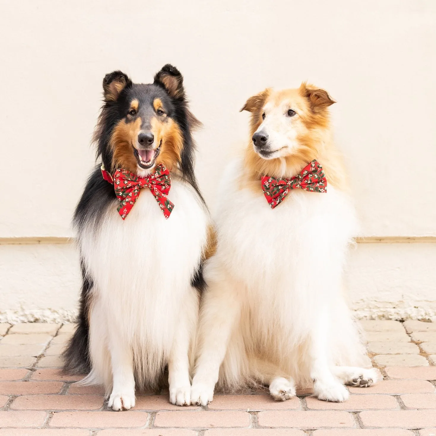 Rifle Paper Co. x TFD Mistletoe Bow Tie Collar